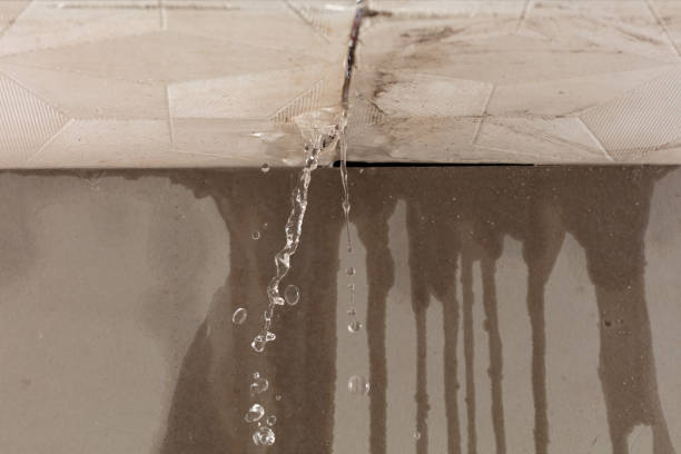 Professional Water Extraction technician working in Geneva, WA